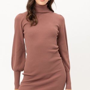 Turtle Neck Sweater Dress